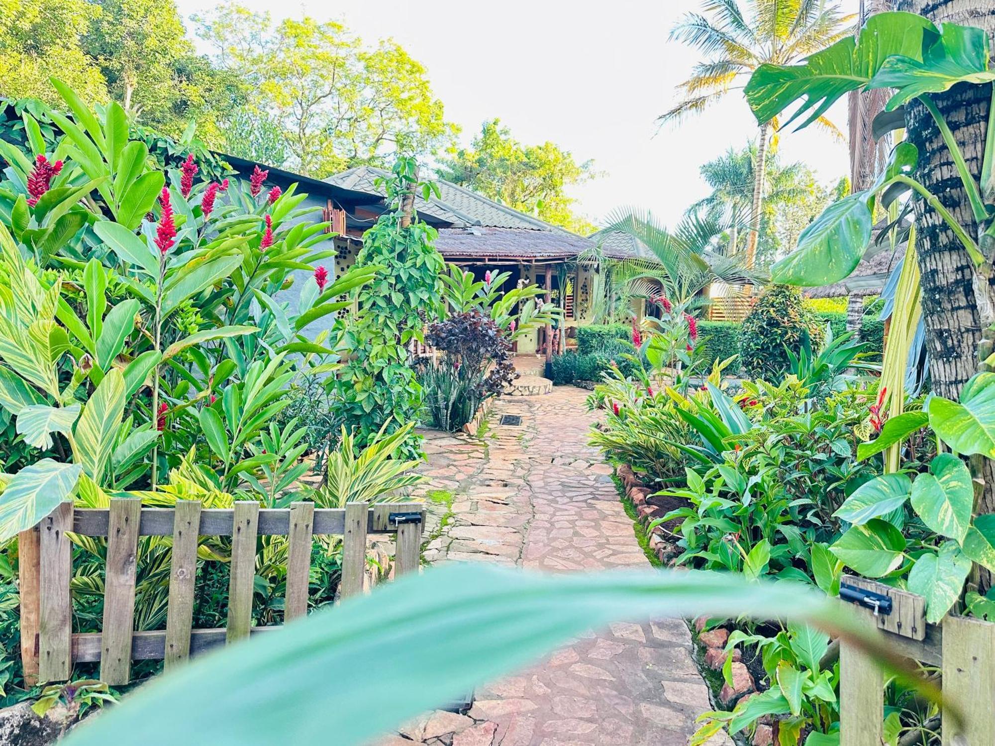 Afro Smile Hotel & Guest House 金贾 外观 照片