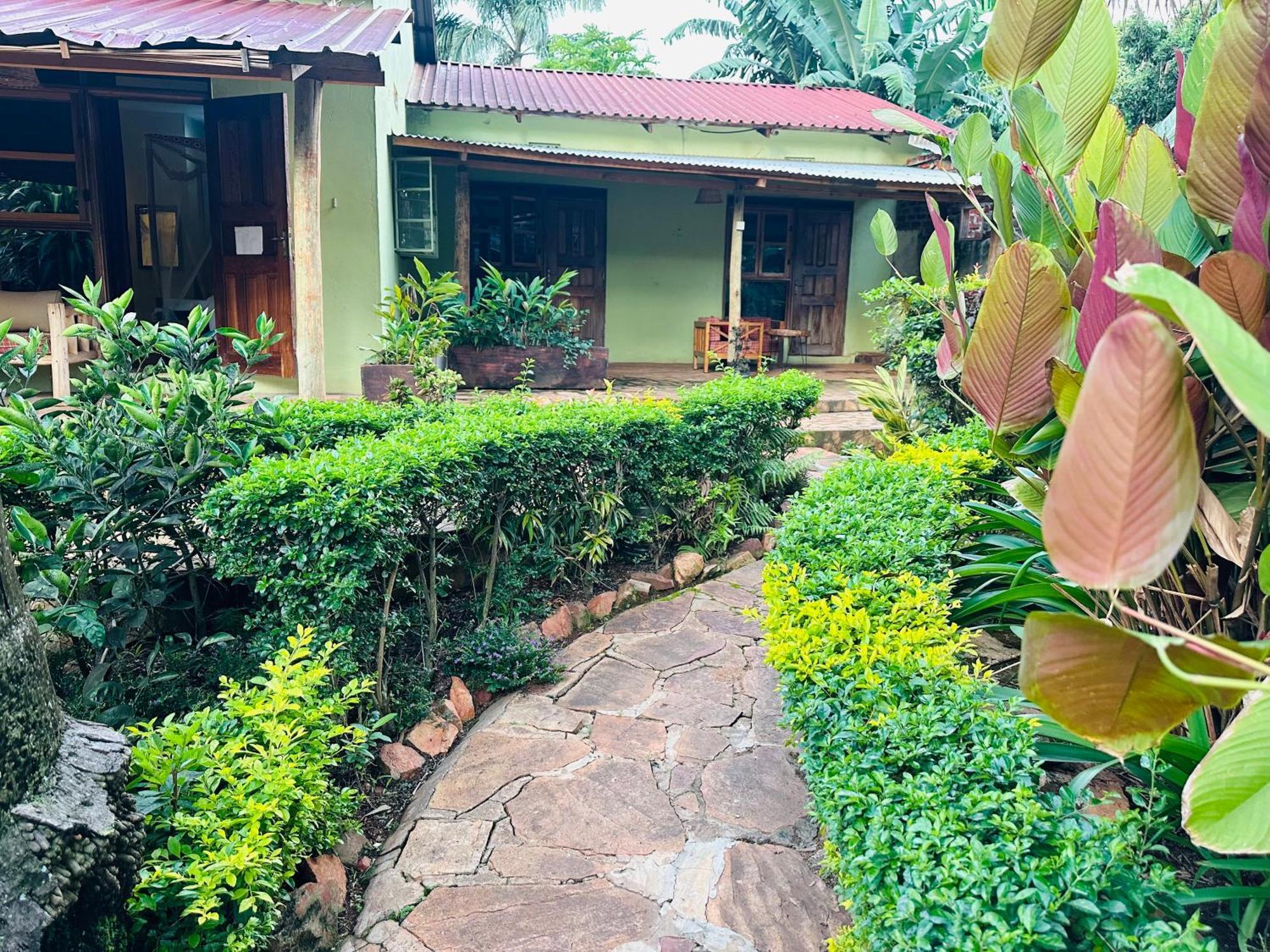 Afro Smile Hotel & Guest House 金贾 外观 照片