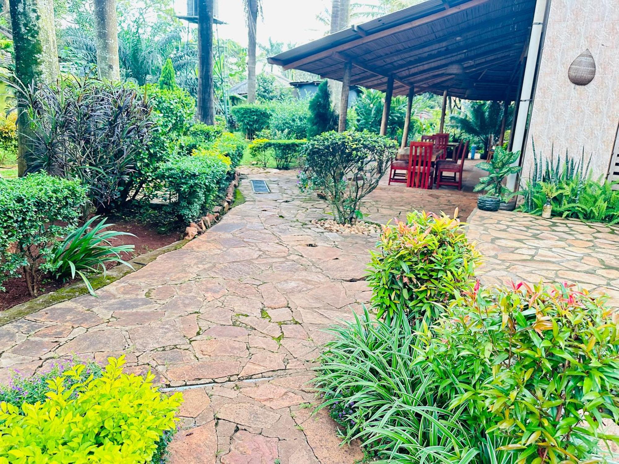 Afro Smile Hotel & Guest House 金贾 外观 照片