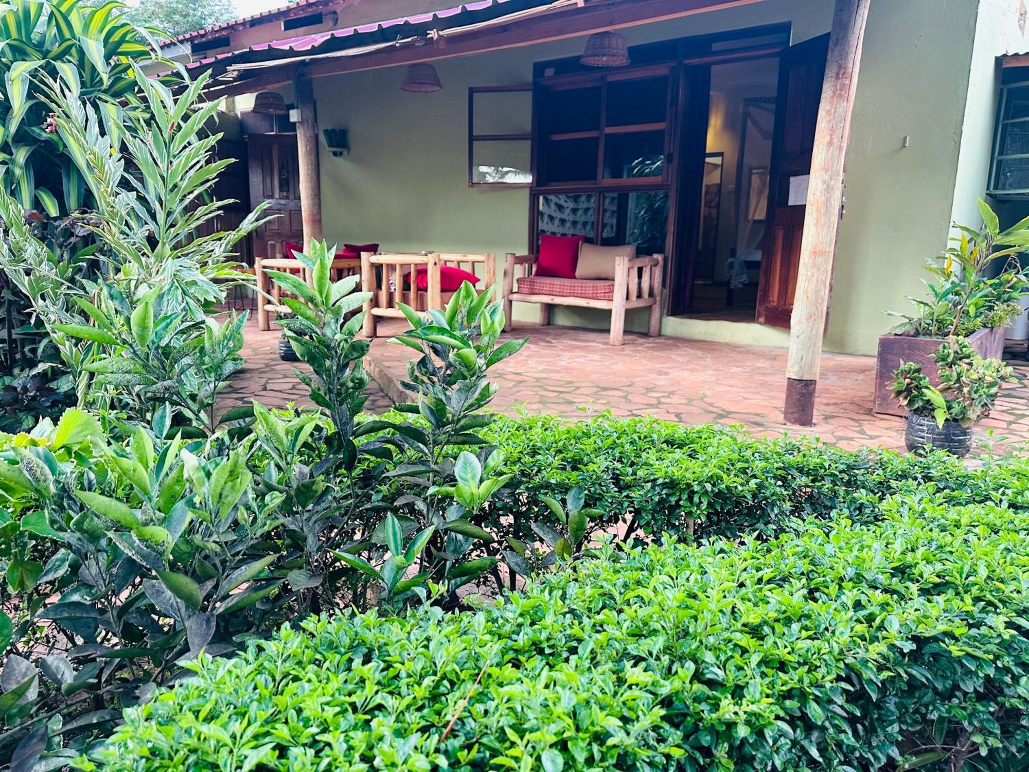 Afro Smile Hotel & Guest House 金贾 外观 照片